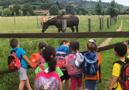 L’estate 2021 per i bambini e i ragazzi buschesi sarà ricca di iniziative grazie a tanti, fra enti e associazioni, che stanno collaborando per una programmazione che prevede un’ampia offerta di servizi integrati